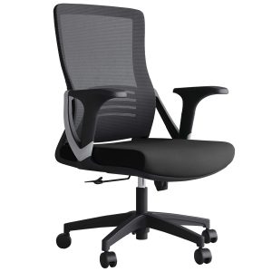 Neon Medium Back Office Chair