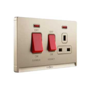 Gold Cooker Control Unit