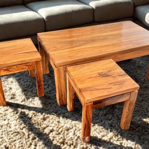 Rustic Nesting Coffee Table Set