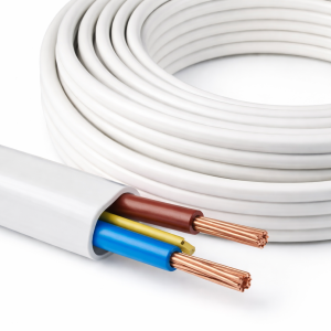 Twin With Earth Cables